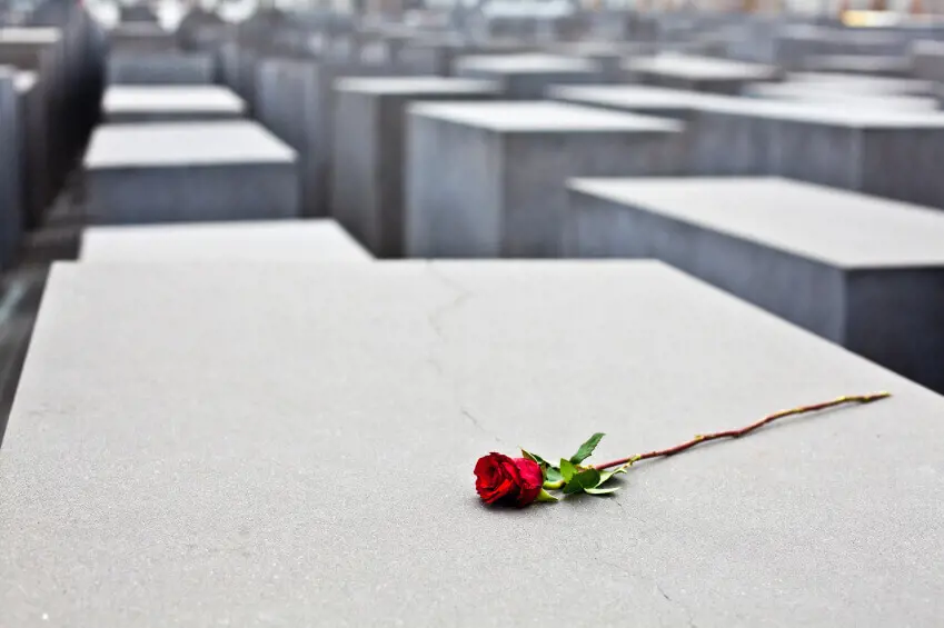 Berlin Jewish Memorial Rose Flower Holocaust