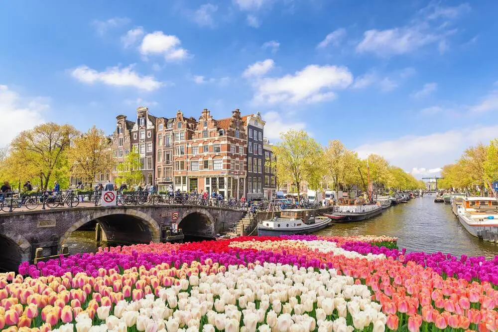 Amsterdam Bridge Flowers Canal