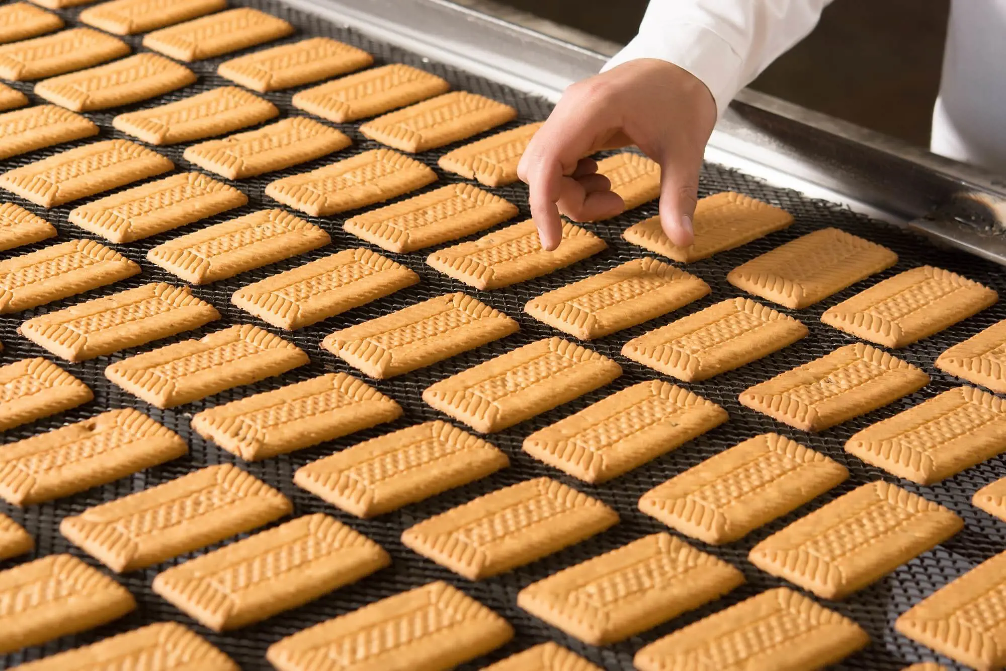 Normandy Biscuit Factory