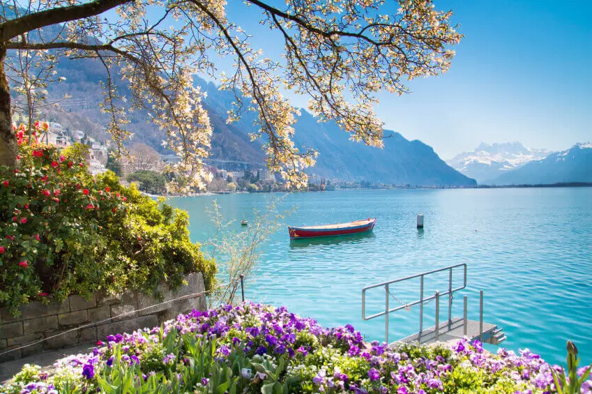 Geneva Lake Flowers